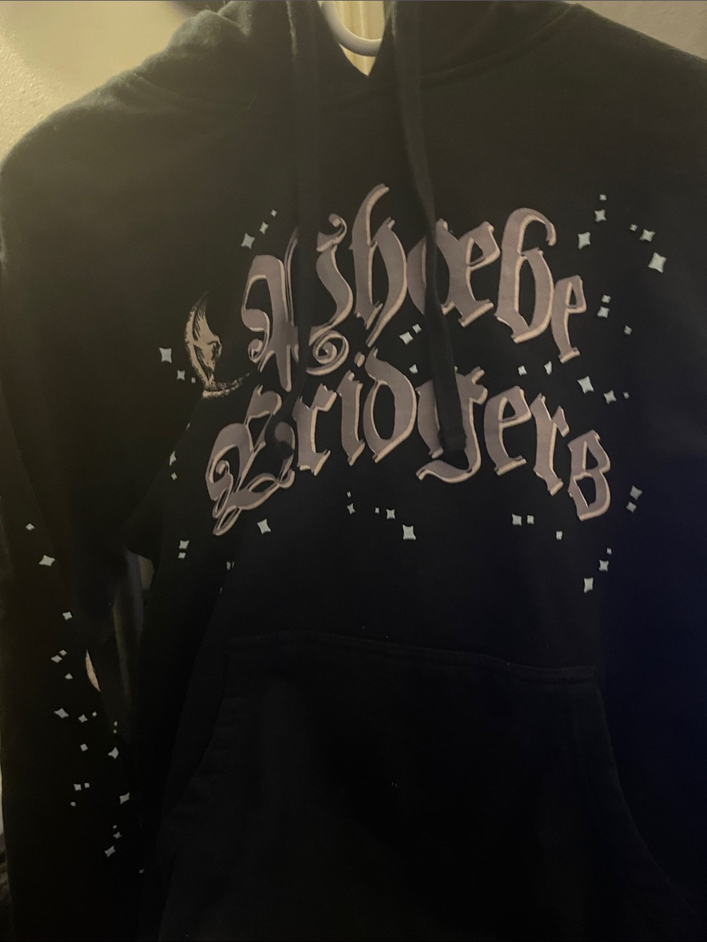 Phoebe Bridgers Black Dragon Hoodie
